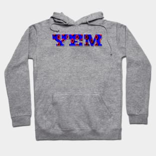 YEM - 3D donut design Hoodie